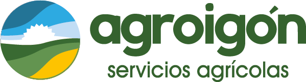 logo bueno